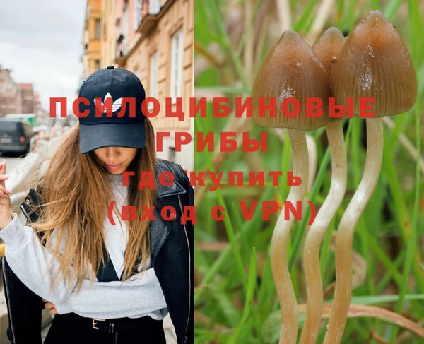 амф Абдулино