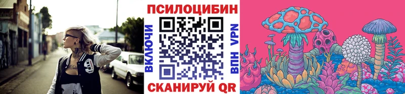 где купить наркоту  Тында  Псилоцибиновые грибы Psilocybe 